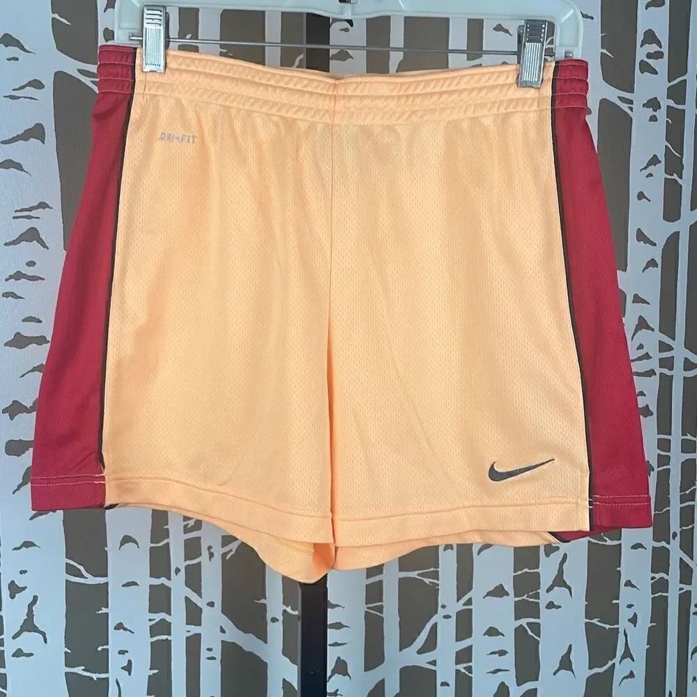Nike Dri-Fit Mesh Shorts S
